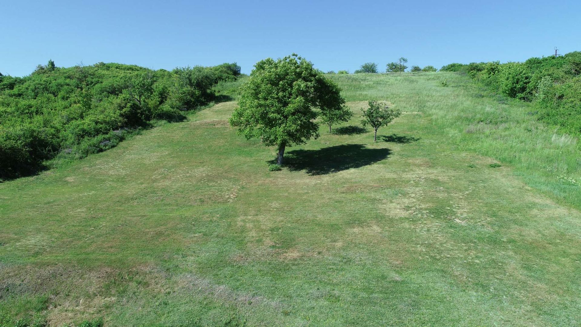 Penzion Bakchus – pozemek přes 8 000 m² na jižním svahu